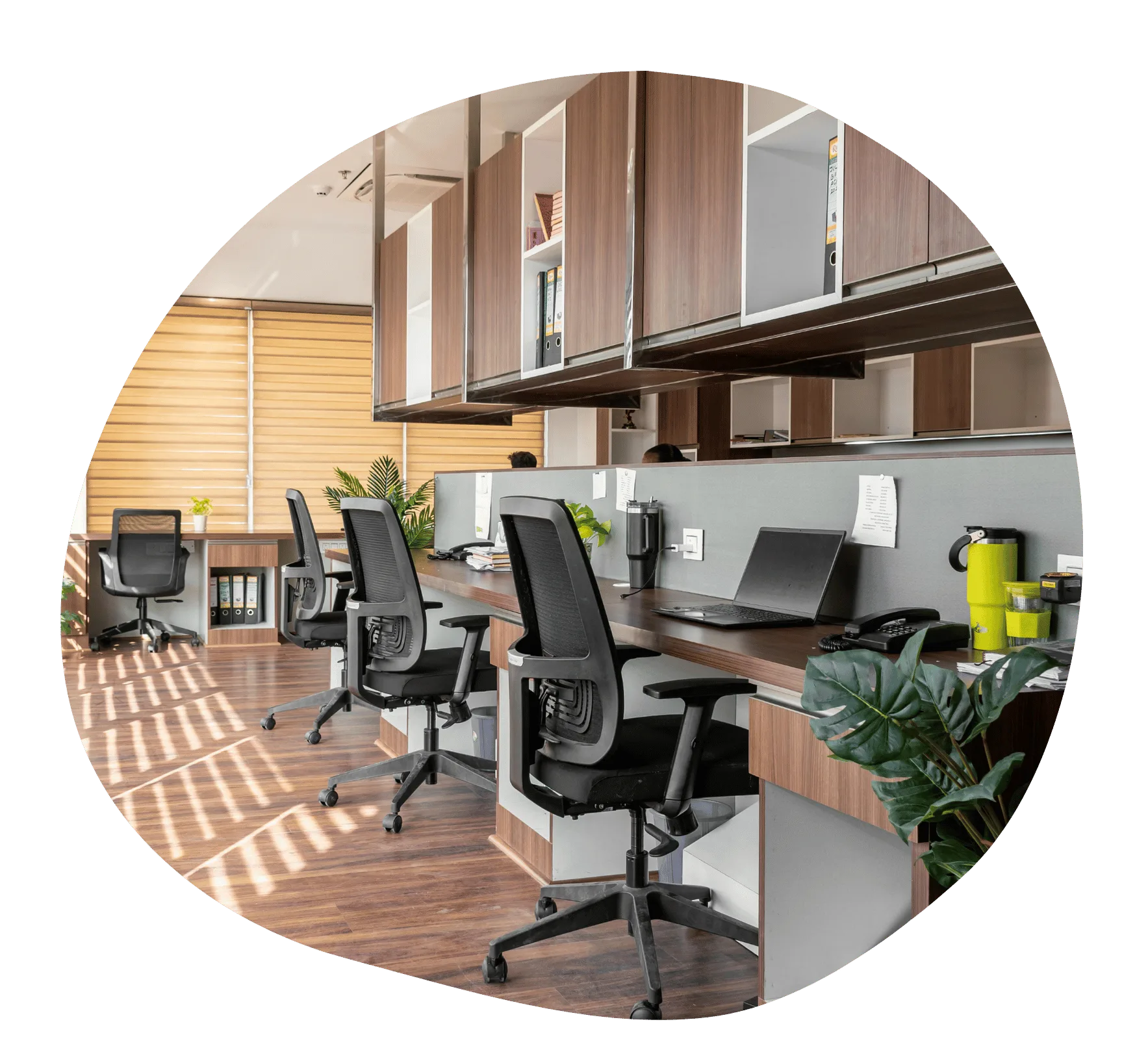 Espace bureau fonctionnel Espace de travail contemporain avec longues tables en bois, chaises ergonomiques et lumière naturelle.