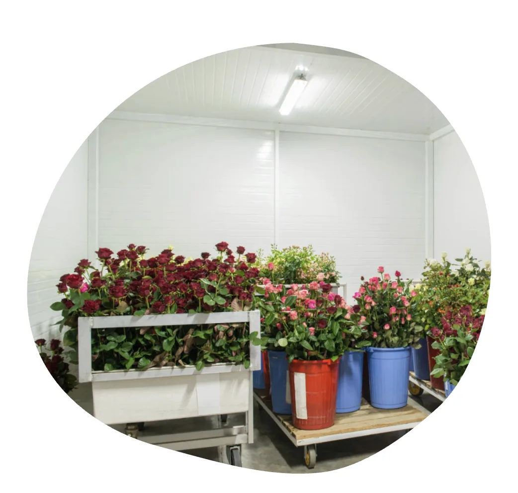 service inclus dans les bureaux douzepointcinq